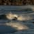 Got Barreled surf photos Duranbah Beach (D-bah) by Ananda Capeletti