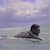 Got Barreled surf photos Duranbah Beach (D-bah) by Fabricio  Costa Rinke