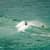 Got Barreled surf photos Greenmount by Drift Collective