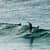 Got Barreled surf photos Greenmount by Drift Collective