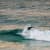 Got Barreled surf photos Greenmount by Drift Collective