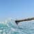 Got Barreled surf photos Duranbah Beach (D-bah) by Rami Lomba