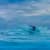Got Barreled surf photos Snapper Rocks by Simon Garrett