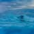 Got Barreled surf photos Snapper Rocks by Simon Garrett