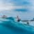 Got Barreled surf photos Snapper Rocks by Simon Garrett