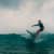 Got Barreled surf photos Rainbow Bay by Simon Garrett
