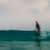 Got Barreled surf photos Rainbow Bay by Simon Garrett