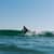 Got Barreled surf photos The Pass by Tal Romano