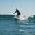 Got Barreled surf photos The Pass by Tal Romano