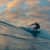 Got Barreled surf photos Snapper Rocks by Simon Garrett