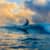 Got Barreled surf photos Snapper Rocks by Simon Garrett