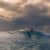 Got Barreled surf photos Snapper Rocks by Simon Garrett