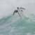 Got Barreled surf photos Duranbah Beach (D-bah) by Alan Minifie