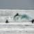 Got Barreled surf photos Snapper Rocks by Pedro  Corsato