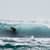 Got Barreled surf photos Kirra by Dorian Demdoum