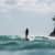 Got Barreled surf photos The Pass by Luke Porter