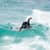 Got Barreled surf photos Burleigh Heads by Dorian Demdoum