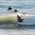 Got Barreled surf photos Duranbah Beach (D-bah) by Samuel Rashleigh