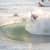 Got Barreled surf photos Duranbah Beach (D-bah) by Samuel Rashleigh