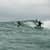Got Barreled surf photos Burleigh Heads by Tanner Keat