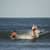 Got Barreled surf photos Alexandra Headland by Jada Hoad