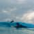 Got Barreled surf photos Snapper Rocks by Simon Garrett