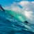 Got Barreled surf photos Snapper Rocks by Simon Garrett