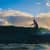 Got Barreled surf photos Burleigh Heads by Simon Garrett