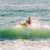 Got Barreled surf photos Burleigh Heads by Simon Garrett