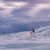 Got Barreled surf photos Snapper Rocks by Simon Garrett