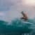 Got Barreled surf photos Snapper Rocks by Simon Garrett