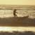 Got Barreled surf photos Cantinho da Baía by Lauren Collier