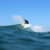 Got Barreled surf photos Duranbah Beach (D-bah) by Oscar Codoceo
