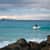 Got Barreled surf photos Wategos Beach by Xanthe Christopher