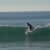 Got Barreled surf photos Supertubos by Mia Canha