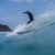 Got Barreled surf photos Duranbah Beach (D-bah) by Fabricio  Costa Rinke