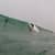 Got Barreled surf photos Supertubos by We Are Salty People
