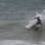 Got Barreled surf photos Burleigh Heads by John McJannett