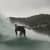 Got Barreled surf photos The Pass by Luke Porter