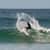 Got Barreled surf photos Duranbah Beach (D-bah) by Brenda Cruz